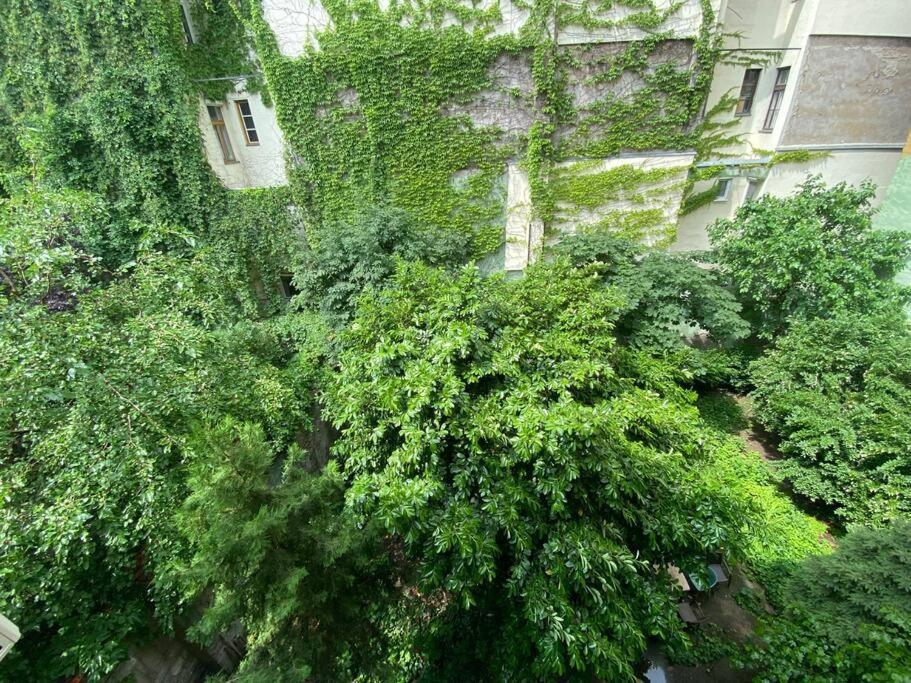Raday Street, Spacious, Modern Apartment — Photos 2